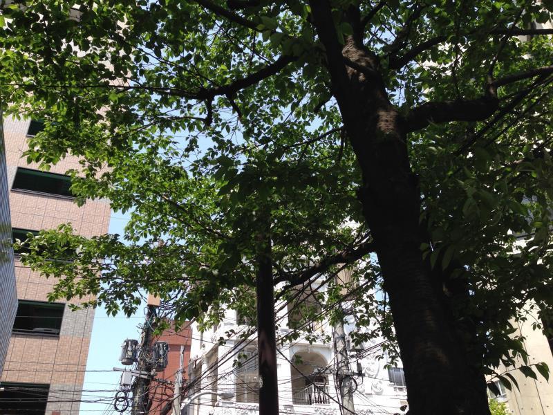 北九州 小仓福冈小亚洲旅舍酒店 外观 照片